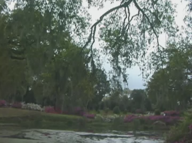 Thumbnail image for PM - Historic Getaway to Charleston SC