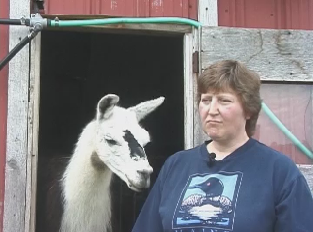 Thumbnail image for Day Trippers in Western NY