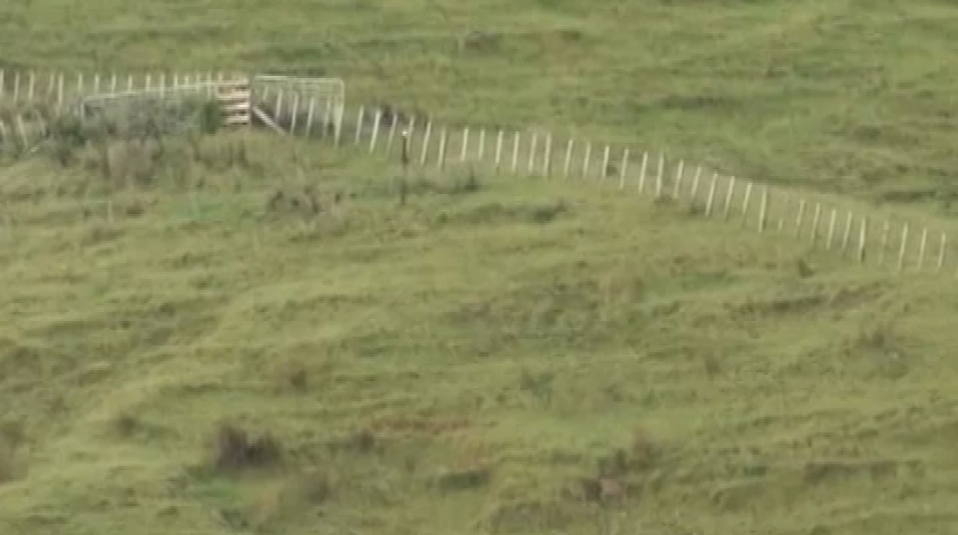 Thumbnail image for New Zealand Travel Adventure