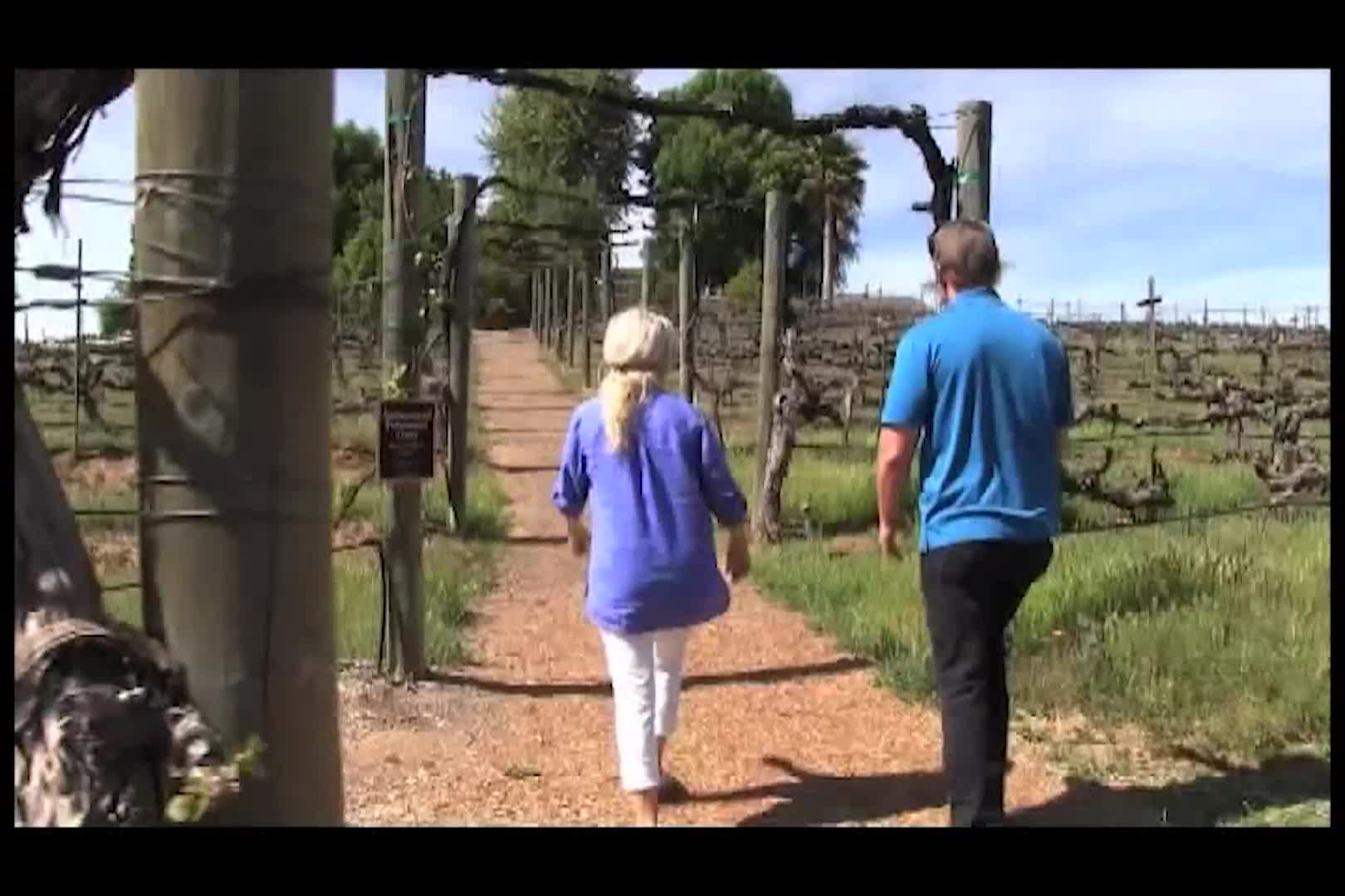 Thumbnail image for Cooking & Kids - Green Power Salad
