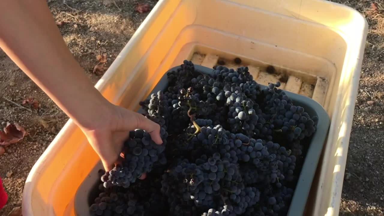 Thumbnail image for Cooking & Kids - Home-Made Gnocchi