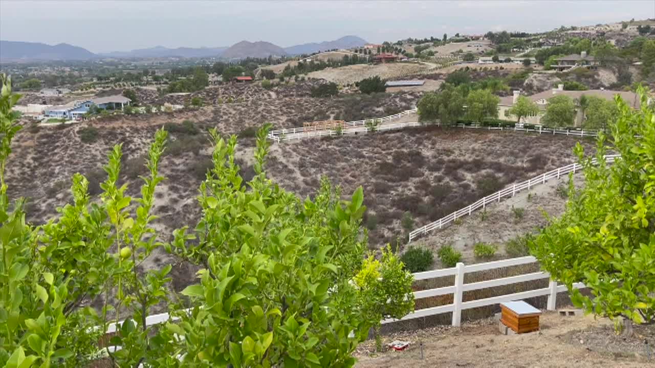 Thumbnail image for Cooking & Kids - Beekeeping Adventures