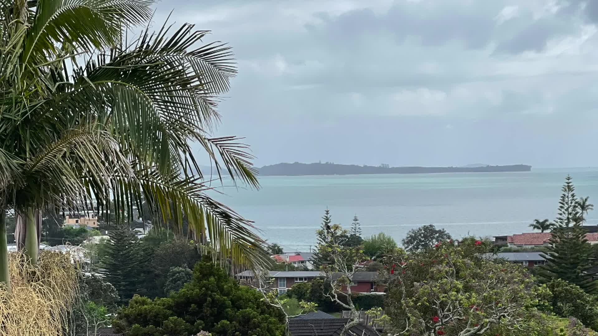 Thumbnail image for Cooking & Kids - Auckland Parks And Asian Soup