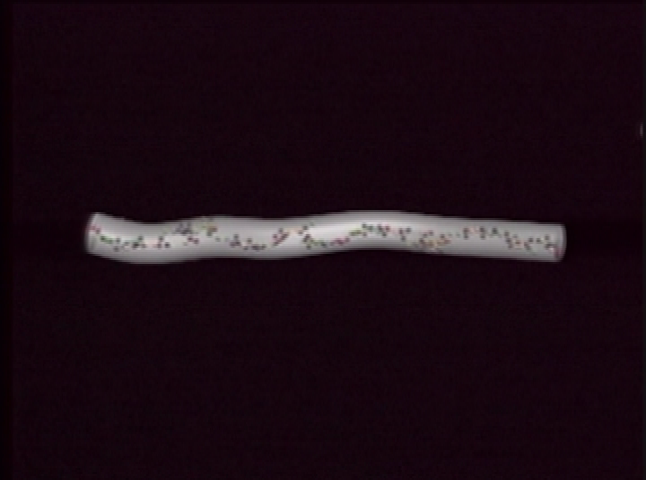 Thumbnail image for A Question of Origins