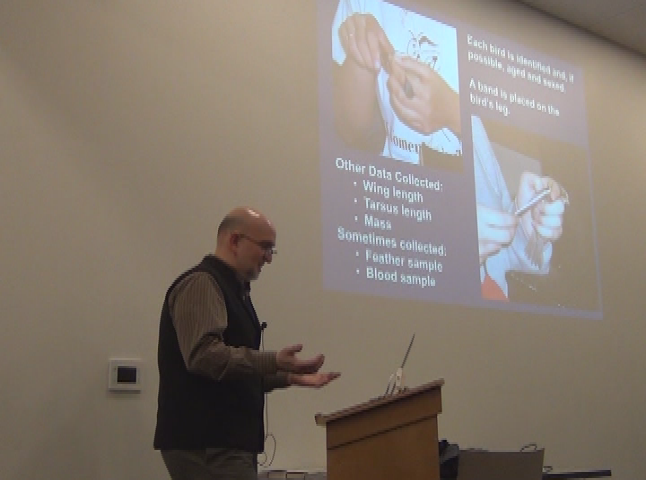 Thumbnail image for Throwing Caution to the Wind