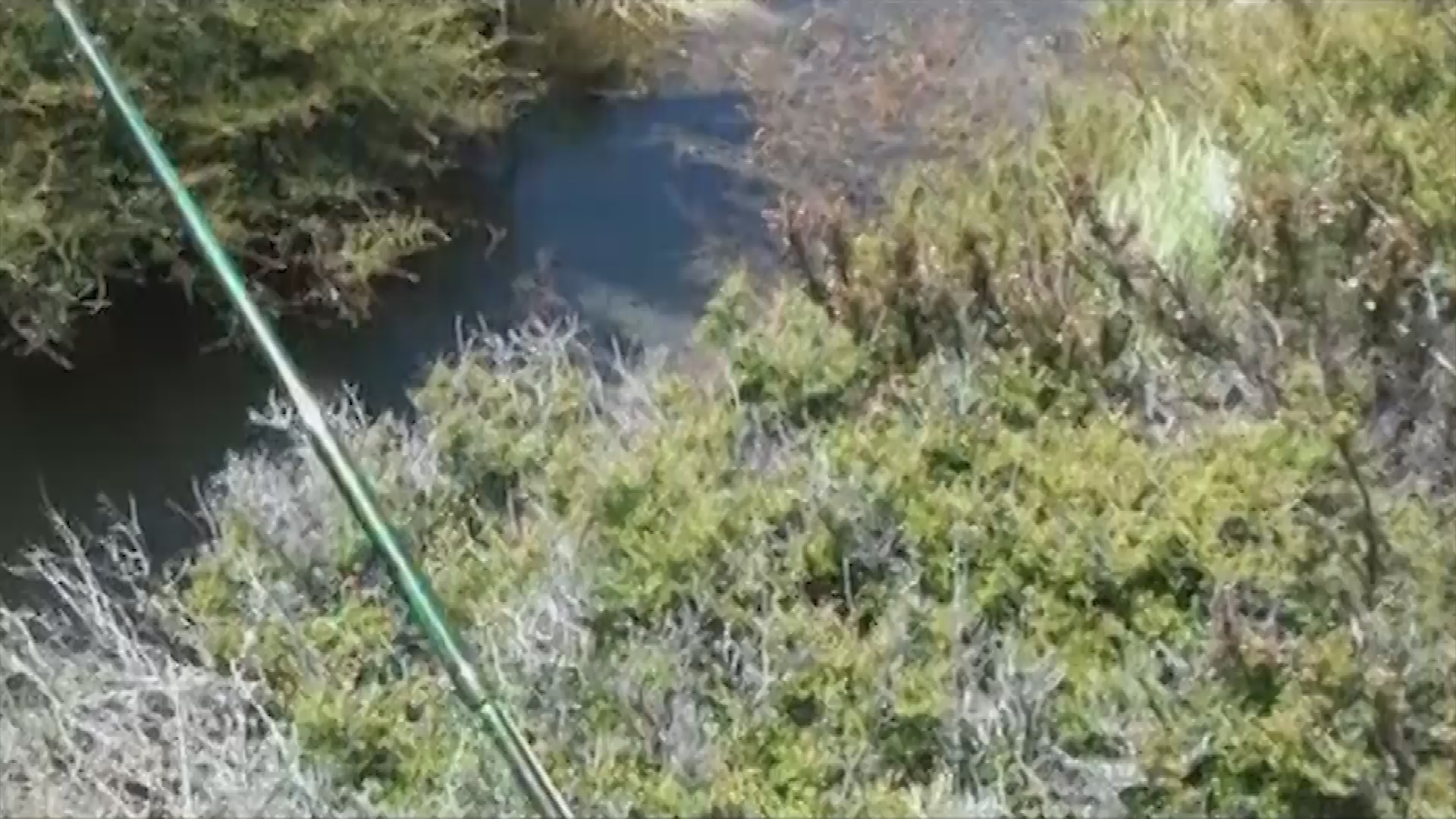 Thumbnail image for Chili Fly Fishing